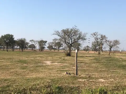 Ruta 11 Km 1010 1000