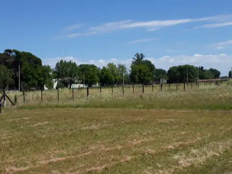 Venta de lote en La Luisa, Capitán Sarmiento