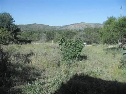 Los Chañares 200
