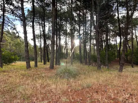 Terreno en Venta en Pinamar Norte, USD 87.000