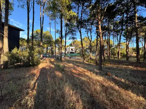 Terreno en Venta de 957,0 m2