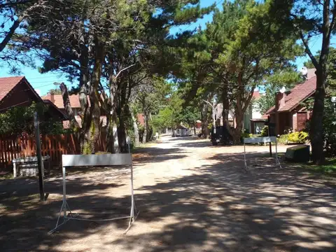 Country Hipocampo