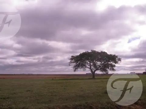 Ruta Nacional 12 Km 1223