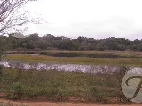 Ruta Nacional 12 Km 1223