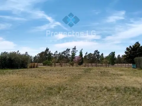 Terreno en Venta en Sinsacate, USD 35.000
