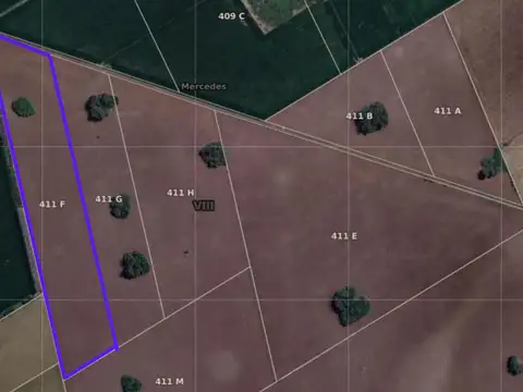 Cuartel VII Mercedes (Bs As)