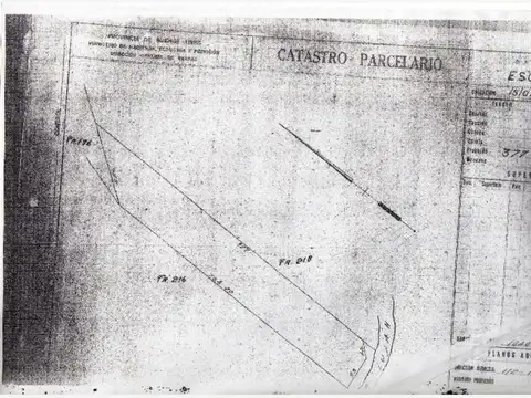 Ruta 25 Y Río Luján