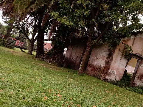 LA PAMPA 3100