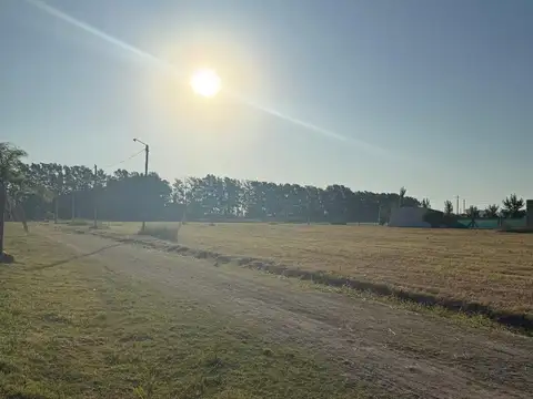 Lucio V Mansilla 1500