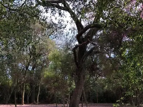 Club de Campo Dos Lunas