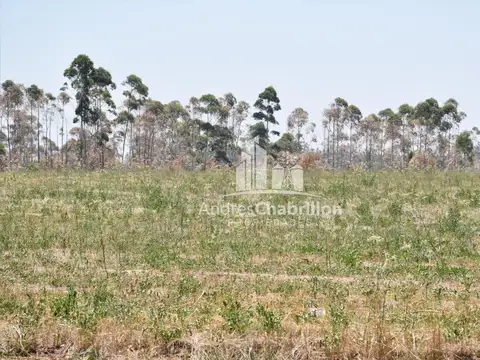 Terreno en Venta 10  mts Frente