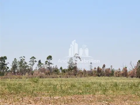 Oportunidad: 3 hectáreas ideales para vivienda o emprendimiento turístico