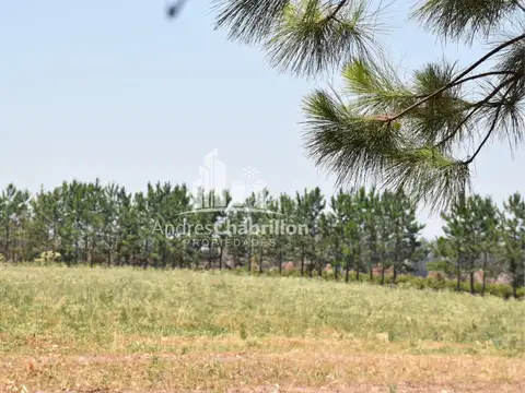 Terreno en Venta de 3,0 m2