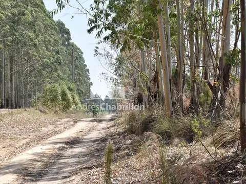 Oportunidad: 3 hectáreas ideales para vivienda o emprendimiento turístico