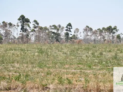 Terreno en Venta 10  mts Frente