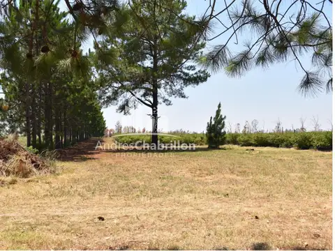 Terreno en Venta 10  mts Fondo