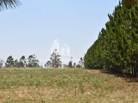 Virgen De Fatima 4800