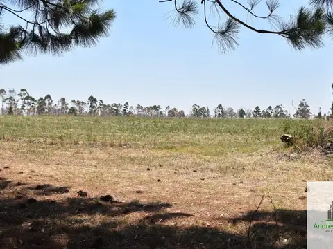 Terreno en Venta en Concordia, USD 40.000