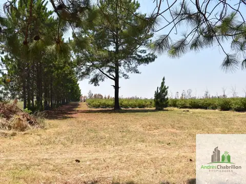 Virgen De Fatima 4800