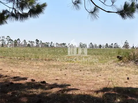 Terreno en Venta en Concordia, USD 40.000