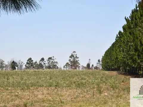 Terreno en Venta de 3,0 m2