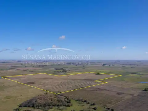Campo ganadero de 80ha en venta en Navarro