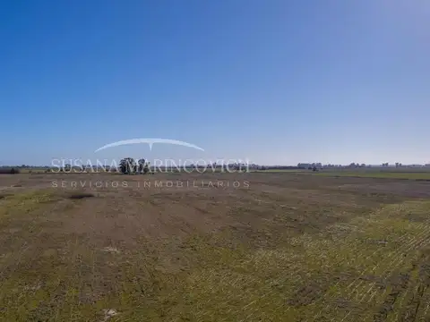 Campo ganadero de 80ha en venta en Navarro