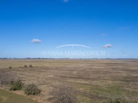 Campo de 80ha en Navarro