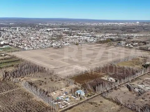 VENTA LOTE COMERCIAL B° GRAN ALAMEDA CIPOLLETTI