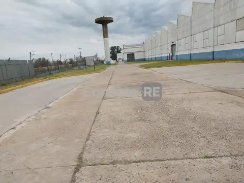 Galpon en Alquiler A Estrenar