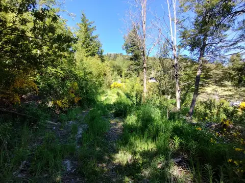 Terreno en Venta, FOT 20