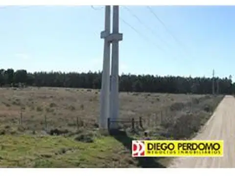 Logísticos - 25000 mts2 Excepcionales