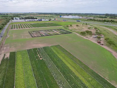 Campo industrial en venta – 4 hectáreas sobre Ruta 9, acceso Arroyo Seco