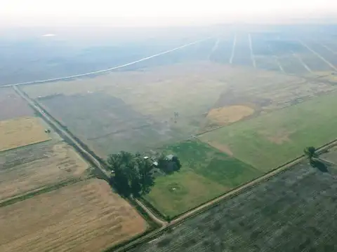 Campo en  estacion diaz