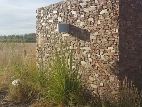 Excelente campo productivo, agricola y ganadero, excelentes instalaciones.