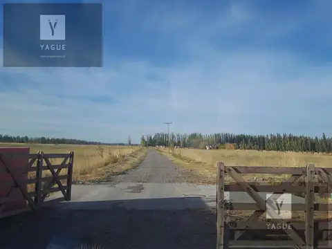 RN 26 pavimentada - Colonia Sarmiento