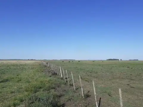 Campo en venta - 33.800.000Mts2 - San Cayetano