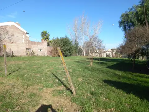Terreno en El Molino Roldán San Benito entre Casilda y Talacasto (ROLDAN)