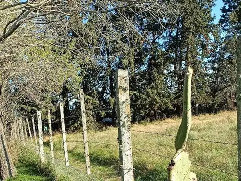 Quinta en Venta en Gualeguaychu, USD 175.000