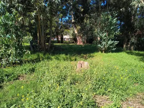 Terreno en Venta en Santa Celina, USD 24.000