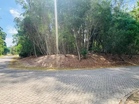 Lote en venta en Punta Ballena