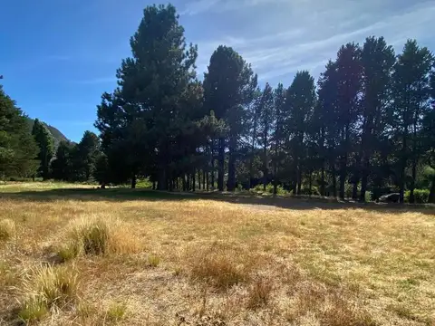 Ñirihuau