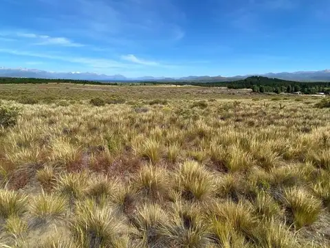 Ñirihuau