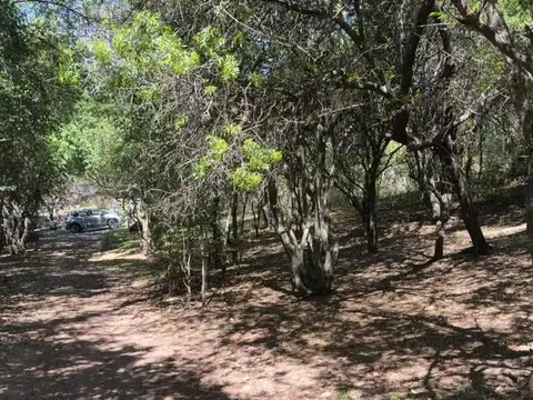 Los Claveles