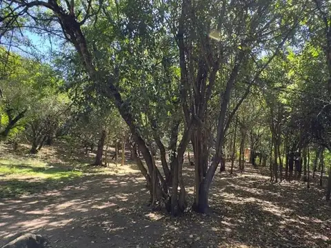 Terreno en Venta de 2000,0 m2