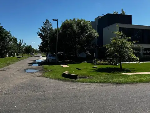 Pascuali  al 1000 Bis