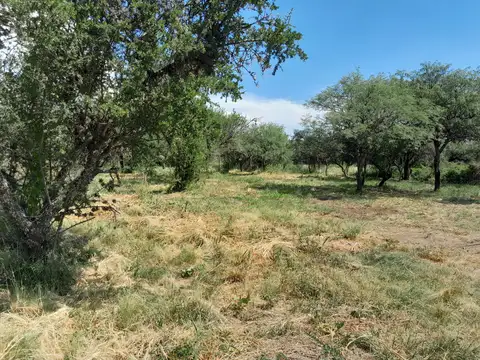 Terreno en venta en Cerro De Oro -1600mts cuadrados - Escriturado - Apto Credito Hipotecario