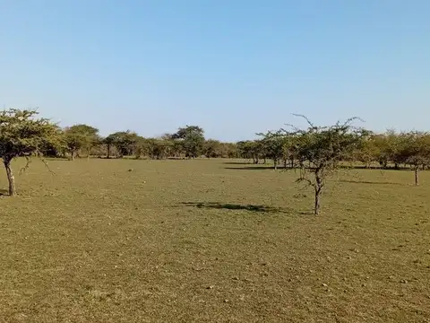 VENTA DE TERRENO DE 10.000m² EN MERCEDES CTES
