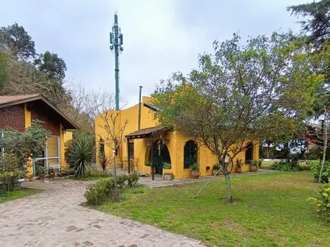 Olivera 3000