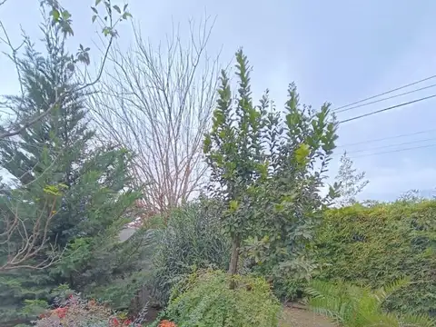 Casa en Venta 40 años